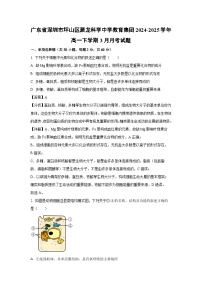 广东省深圳市坪山区聚龙科学中学教育集团2024-2025学年高一下学期3月月考生物试题（解析版）