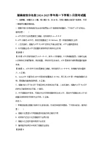 湖南省部分名校2024-2025学年高一下学期3月联考生物试题（解析版）