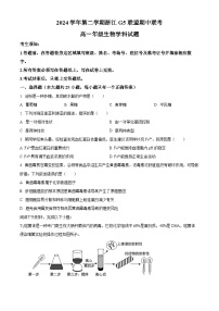 浙江省G5联盟2024-2025学年高一下学期期中考试生物试题（原卷版+解析版）