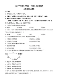 浙江省四校2024-2025学年高一下学期3月联考生物试卷（原卷版+解析版）
