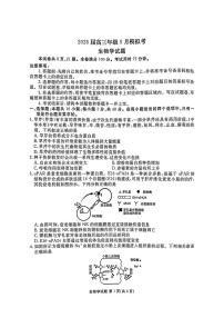 2025年衡水金卷高三下学期5月生物试题及答案