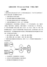 内蒙古巴彦淖尔市第一中学2024-2025学年高一下学期4月期中考试生物试题（Word版附答案）