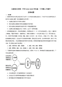 内蒙古巴彦淖尔市第一中学2024-2025学年高一下学期4月期中考试生物试题（Word版附答案）