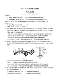 2025年高考押题预测卷：生物（全国卷01）（考试版）