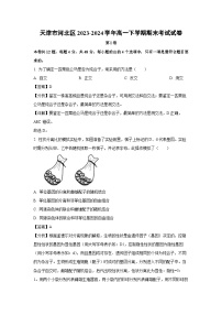 天津市河北区2023-2024学年高一下学期期末考试生物试卷（解析版）
