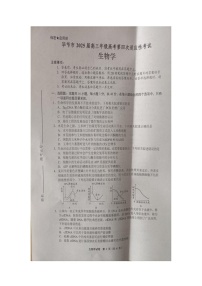 2025届贵州省毕节市高三下学期高考第四次适应性考试生物试题（高考模拟）