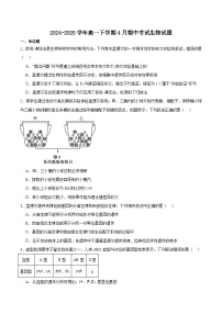 安徽省智学大联考·皖中名校联盟（合肥市第八中学）2024-2025学年高一下学期期中考试生物试题（Word版附答案）