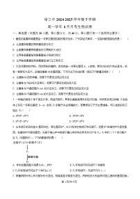 黑龙江省哈尔滨市第三中学2024-2025学年高一下学期4月月考生物试题（Word版附解析）