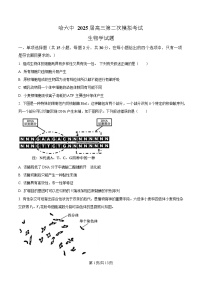 黑龙江省哈尔滨市第六中学2025届高三下学期第二次模拟检测生物试题（Word版附解析）