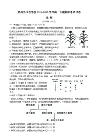 河南省郑州外国语学校2024-2025学年高一下学期期中考试生物试卷（Word版附答案）