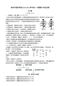 河南省郑州外国语学校2024-2025学年高一下学期期中考试生物试卷（Word版附答案）