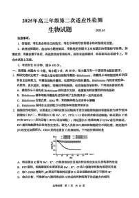 2025届山东省青岛市高三二模考试 生物试卷（含答案）