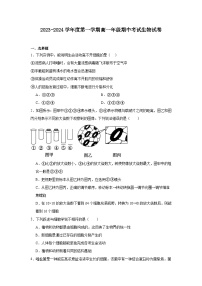 广东省湛江市部分学校2023-2024学年高一上学期期中考试生物试卷