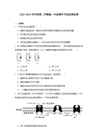 广东省湛江市部分学校2023-2024学年高一下学期期中考试生物试卷