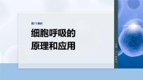 第三单元　第十一课时　细胞呼吸的原理和应用-2026年高考生物大一轮复习课件（含试题及答案）