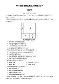 高考生物一轮复习讲练测第一单元 细胞的概述及其组成分子（测试）（2份，原卷版+解析版）