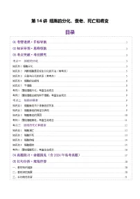高考生物一轮复习讲练测第14讲 细胞的分化、衰老、死亡和癌变（讲义）（2份，原卷版+解析版）