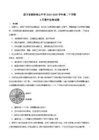 四川省绵阳南山中学2024-2025学年高二下学期4月期中考试生物试卷（Word版附答案）