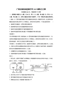 广西南宁市2025届高三三模生物试题（解析版）