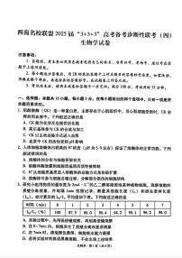 西南名校联盟2025届“3+3+3”高考模拟备考诊断性联考（四）-生物试题+答案