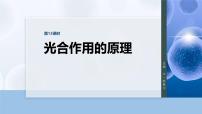 第三单元　第十三课时　光合作用的原理-2026年高考生物大一轮复习课件（含试题及答案）