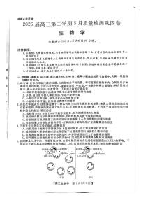 2025届河南省华师联盟高三下学期5月联考生物试卷（高考模拟）