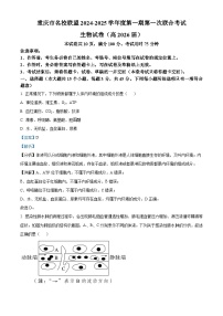 重庆市名校联盟2024-2025学年高二上学期11月期中考试生物试题 含解析
