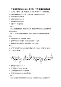 广东省深圳市2023-2024学年高一下学期调研测试生物试题（解析版）