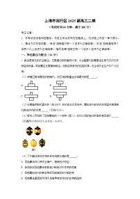 上海市闵行区2025届高三二模生物试卷（解析版）