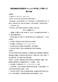 陕西省榆林市多校联考2024-2025学年高二下学期4月期中考试生物试卷（解析版）