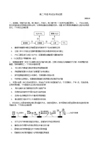 山东省泰安市2024-2025学年高二下学期4月期中考试生物试题（Word版附答案）