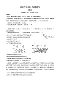 广西桂林市部分学校2024-2025学年高一下学期5月阶段检测生物试题（Word版附答案）