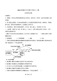 重庆市巴蜀中学2025届高三下学期二模考试生物试卷（Word版附解析）