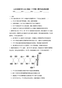 山东省德州市2025届高三下学期三模考试生物试题（无答案）