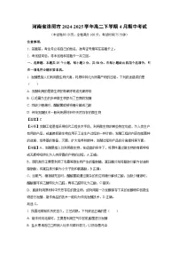 河南省洛阳市2024-2025学年高二下学期4月期中考试生物试卷（解析版）