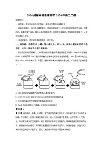 2024届湖南省张家界市2024年高三二模生物试卷（解析版）