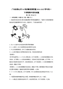 广东省佛山市S6高质量发展联盟2024-2025学年高一下学期期中联考生物试卷（解析版）