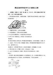 黑龙江省齐齐哈尔市2025届高三三模生物试卷（解析版）