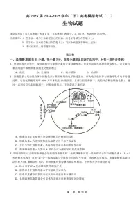 重庆市育才中学高2025届高考模拟考试（二）-生物试题+答案