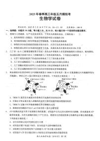 湖北省鄂东南2025年春季高三年级五月模拟考生物含答案解析