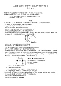 重庆市育才中学2025届高三下学期4月一模生物试题（Word版附答案）