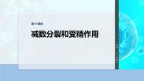第四单元　第17课时　减数分裂和受精作用-2026年高考生物大一轮复习课件（含试题及答案）