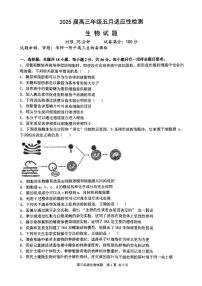 湖北省武汉市华中师范大学第一附属中学2025届高三下学期五月高考适应性检测生物试题（含答案）