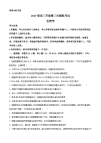 2025届河南省新乡市高三下学期三模生物试题（高考模拟）