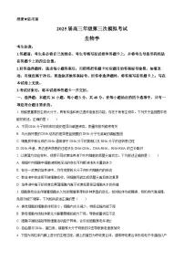 2025届河南省新乡市高三下学期三模生物试题（高考模拟）