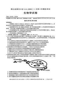 2025届湖北省黄冈中学高三下学期5月三模生物试题（高考模拟）