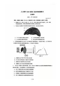2025北京人大附中高三三模[高考模拟]生物试题及答案