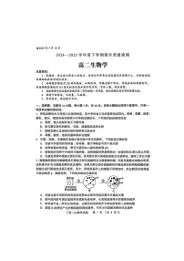 河南省三门峡市2024-2025学年高二下学期5月期末质量检测生物答案（图片版有答案）