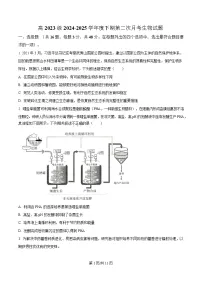 四川省广安中学2024-2025学年高二下学期第二次月考生物试卷（Word版附解析）