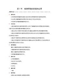 高中生物人教版 (2019)必修1《分子与细胞》细胞呼吸的原理和应用教案